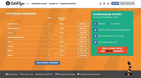 domeinnaam veiling